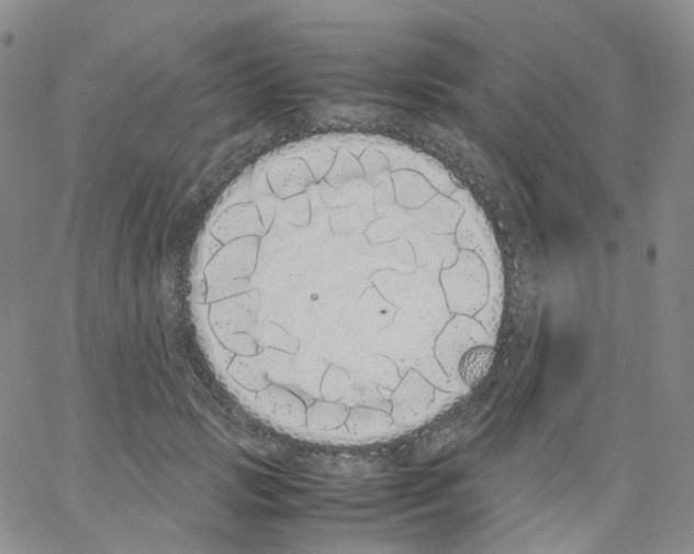 X0000062900749200602101806