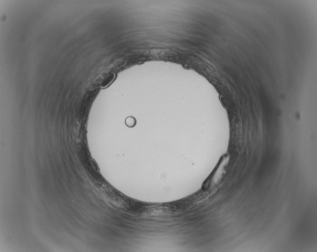 X0000062900750200602101806