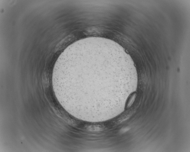 X0000062900751200602101806