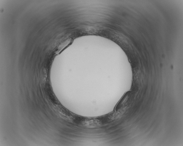 X0000062900752200602101806