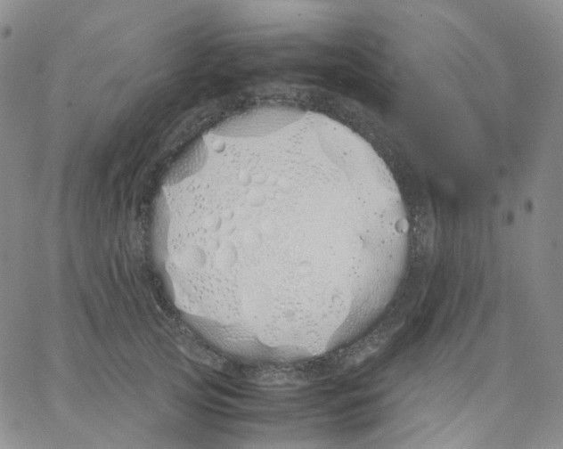 X0000062900753200602101806