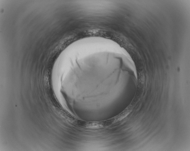 X0000062900754200602101806