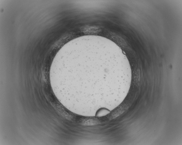 X0000062900755200602101806