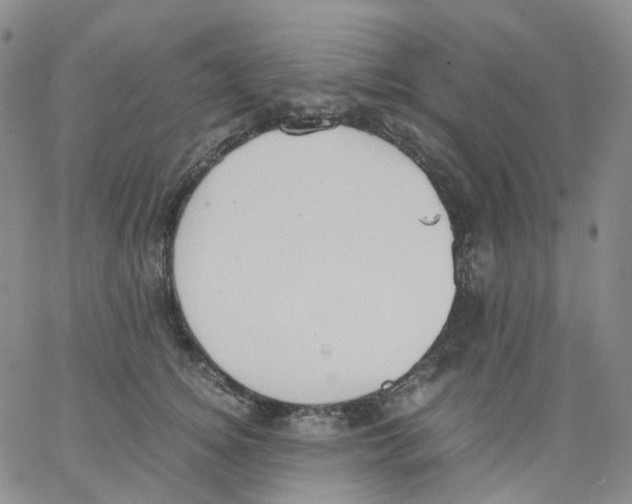 X0000062900756200602101806