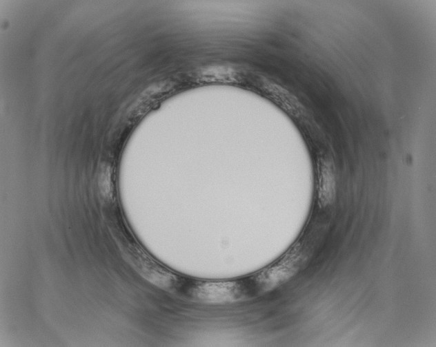 X0000062900758200602101806