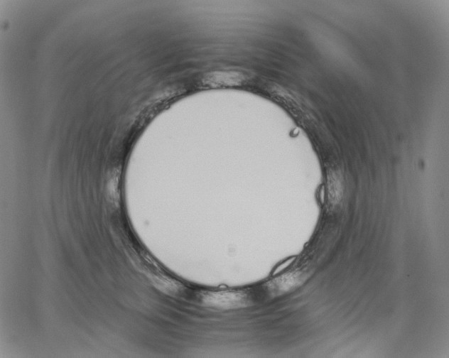 X0000062900759200602101806