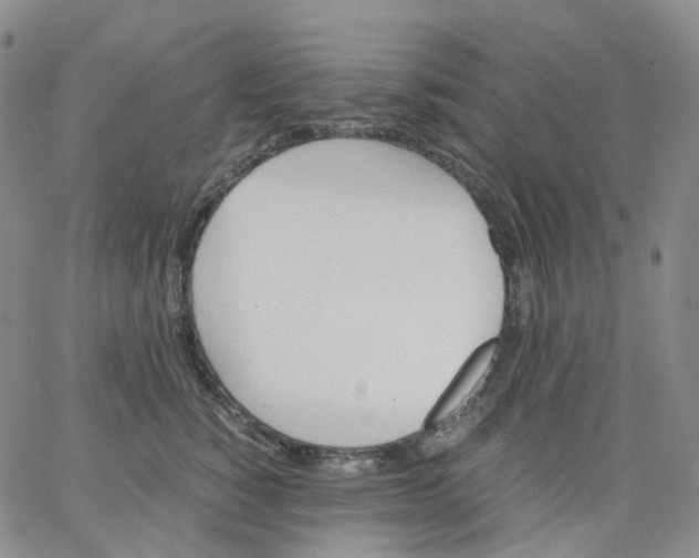 X0000062900760200602101806