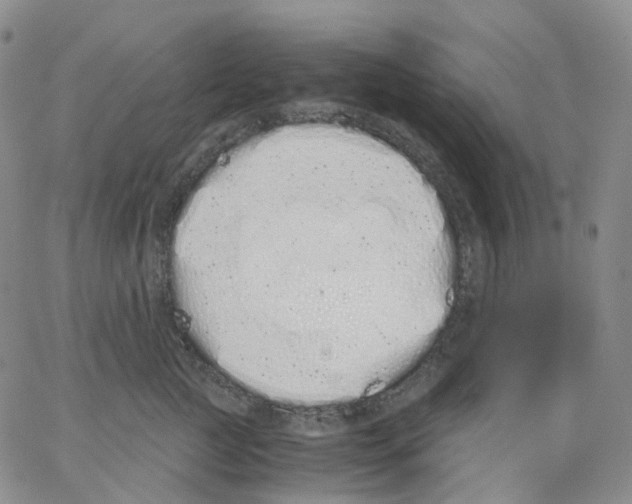 X0000062900761200602101806