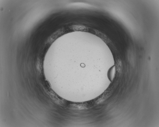 X0000062900763200602101806