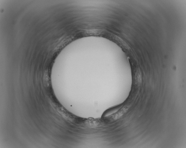 X0000062900764200602101806