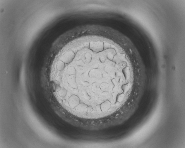 X0000062900765200602101806