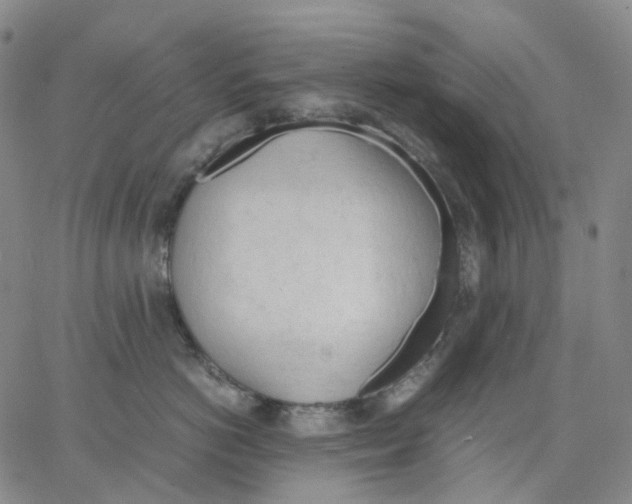 X0000062900766200602101806