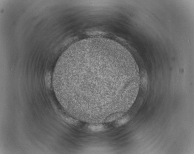 X0000062900767200602101806