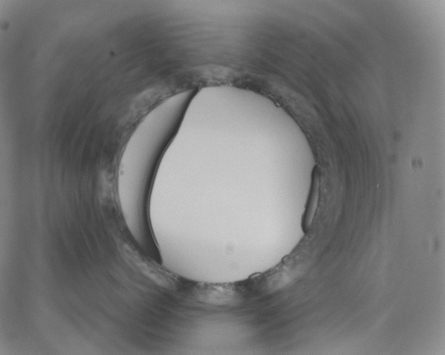 X0000062900768200602101806