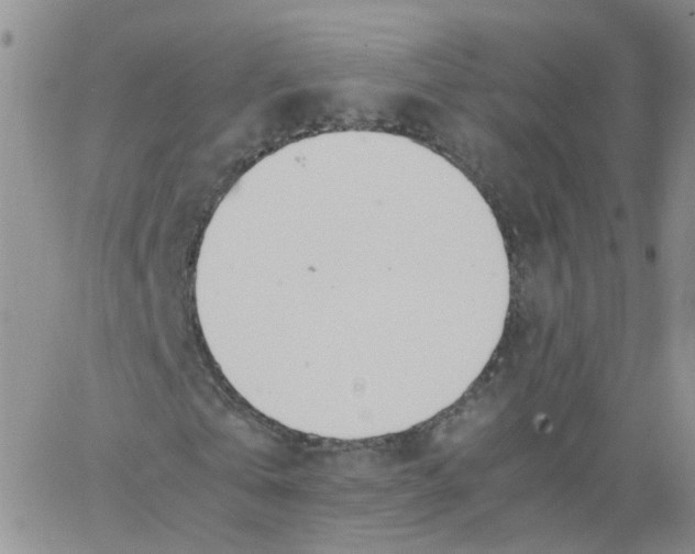 X0000062900769200602101806