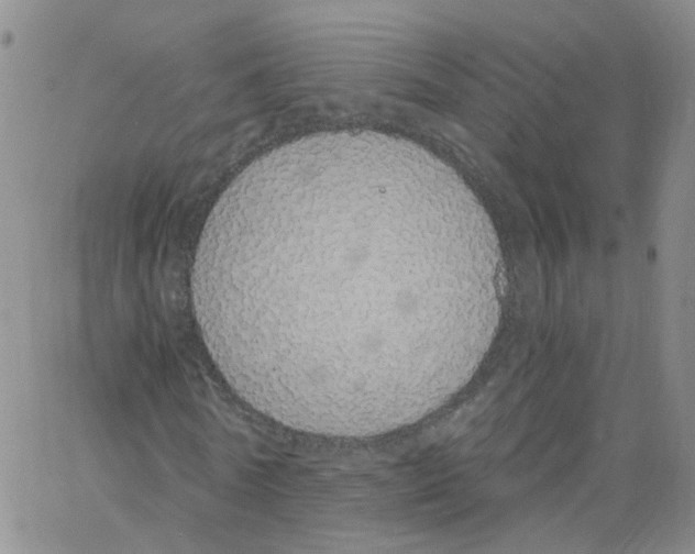 X0000062900770200602101806