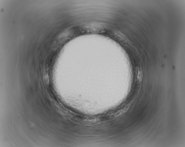 X0000062900771200602101806