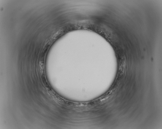 X0000062900772200602101806