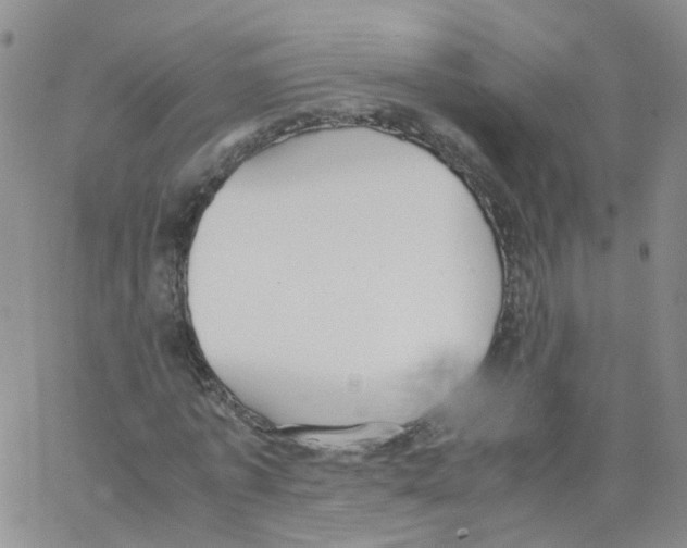 X0000062900773200602101806