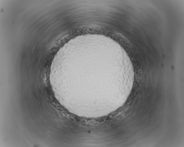 X0000062900774200602101806