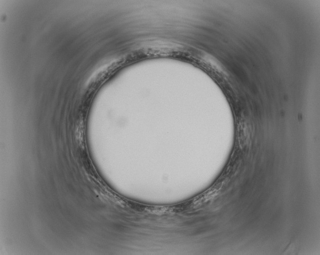 X0000062900775200602101806