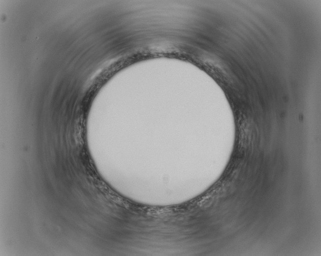 X0000062900776200602101806