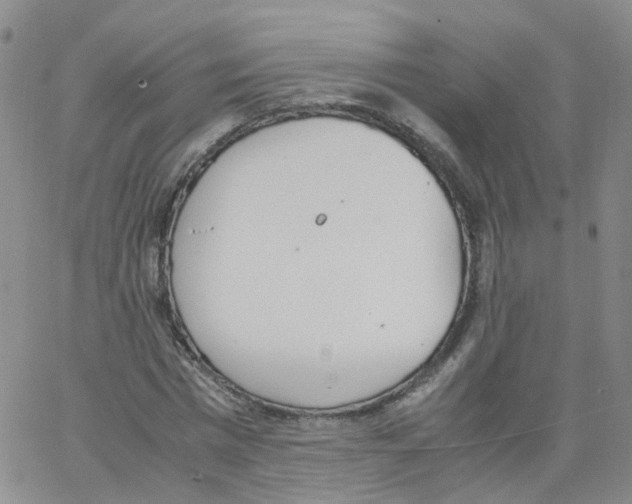 X0000062900777200602101806