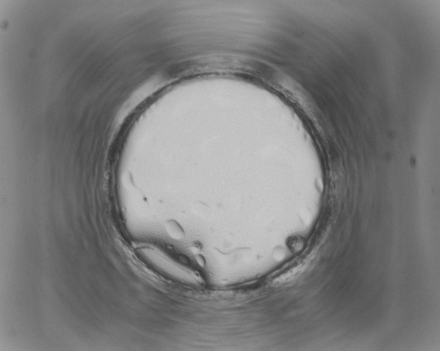 X0000062900779200602101806