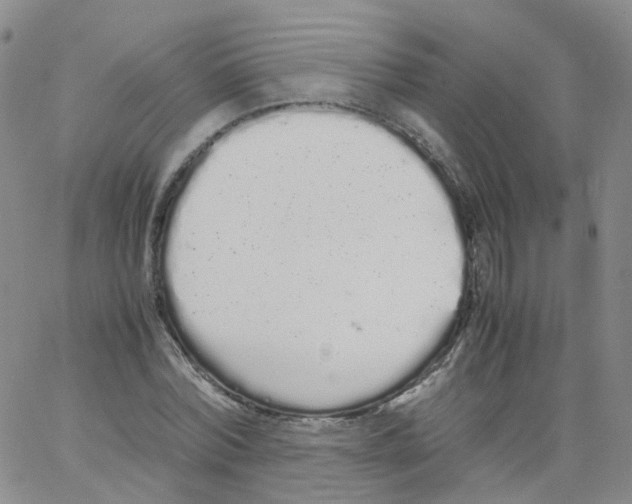 X0000062900780200602101805