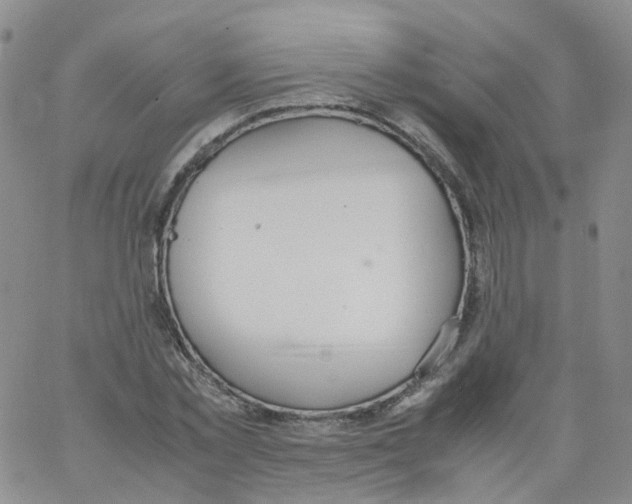 X0000062900781200602101805