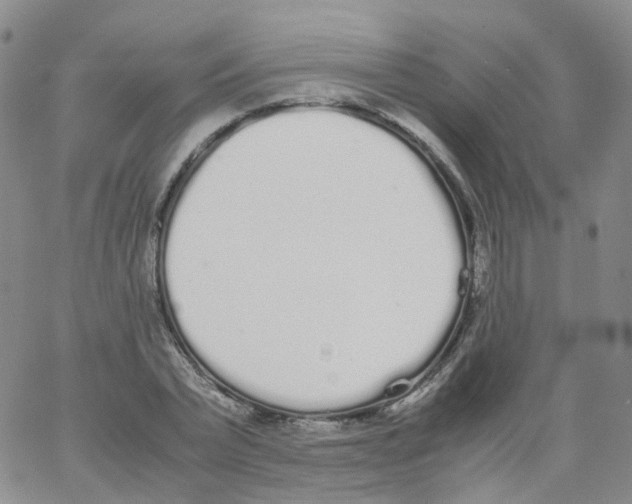 X0000062900783200602101805