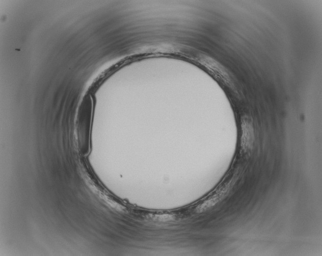 X0000062900784200602101805