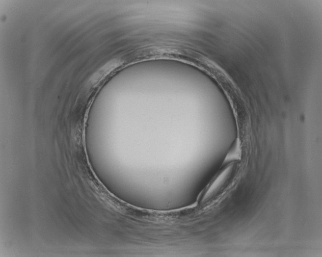 X0000062900785200602101805