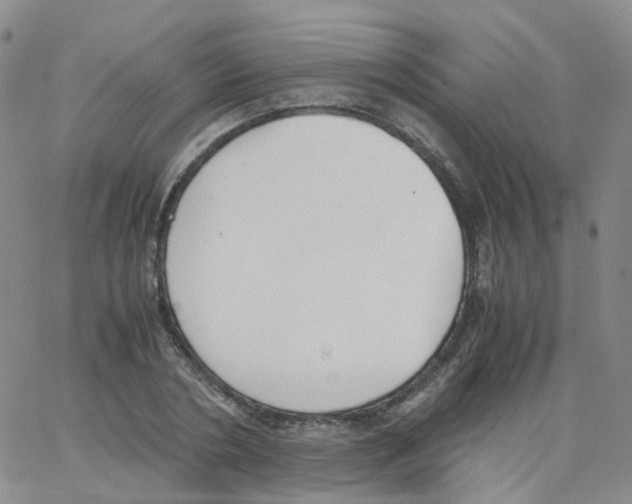 X0000062900786200602101805