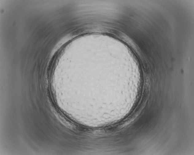 X0000062900787200602101805