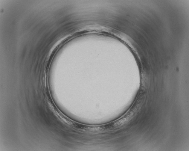 X0000062900791200602101805