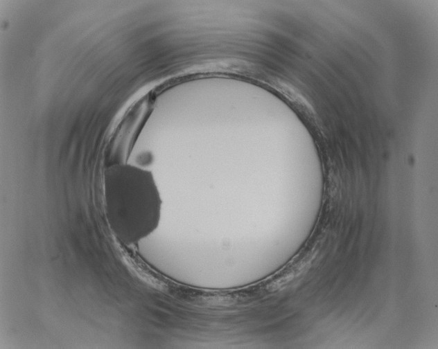 X0000062900792200602101805