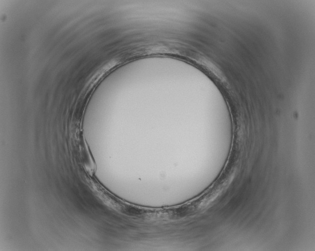 X0000062900793200602101805