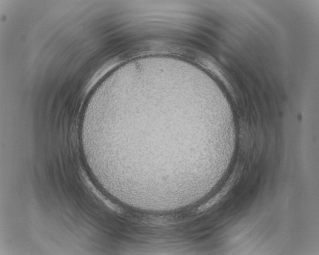 X0000062900794200602101805