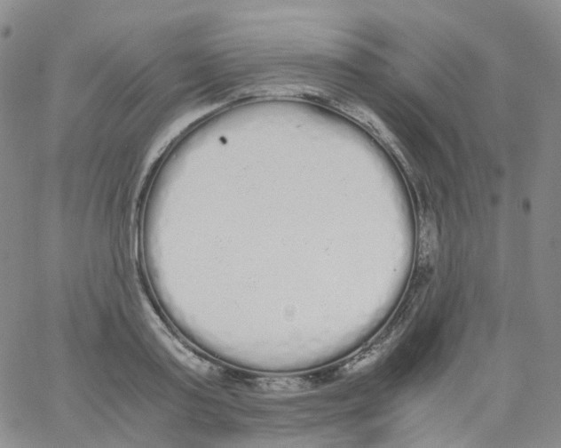 X0000062900795200602101805