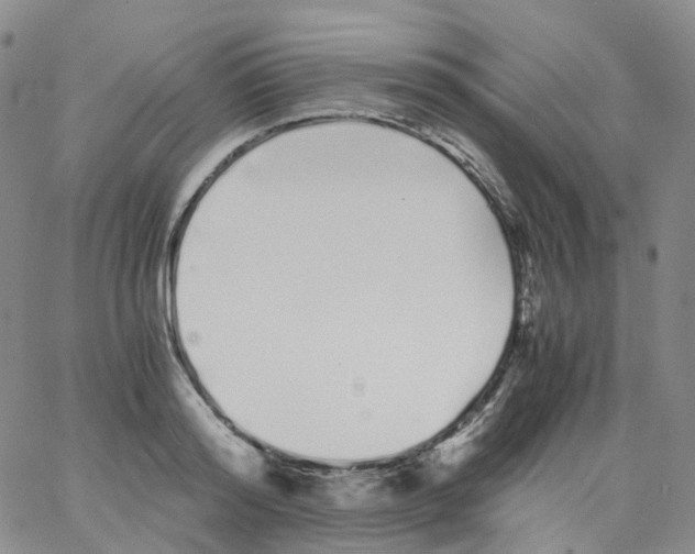 X0000062900796200602101805