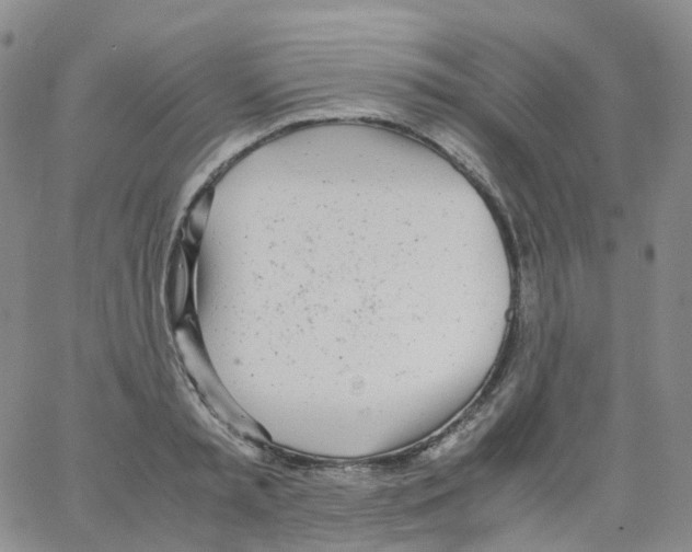 X0000062900797200602101805