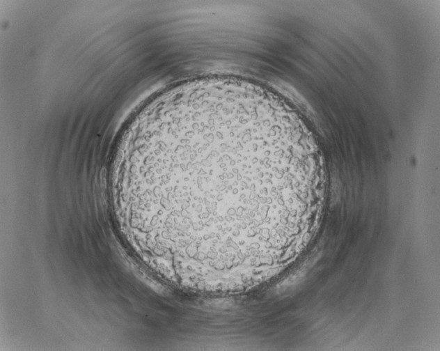 X0000062900798200602101805