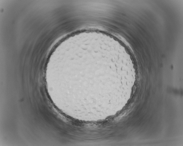 X0000062900799200602101805