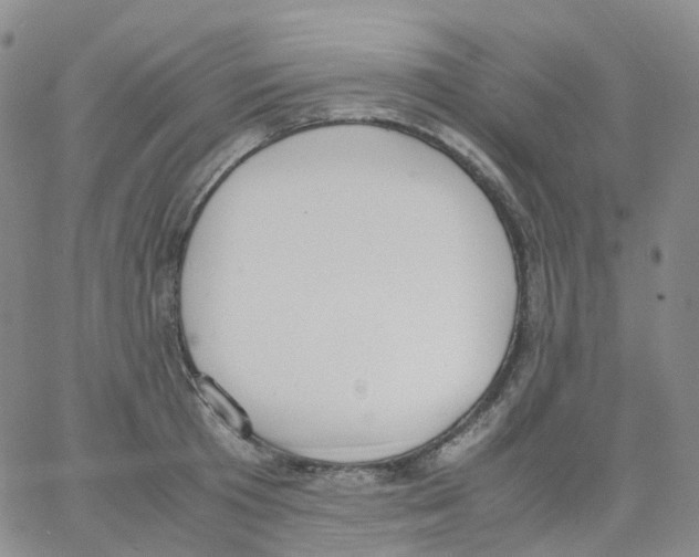 X0000062900801200602101805