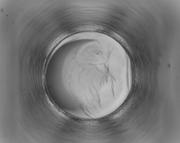 X0000062900802200602101805