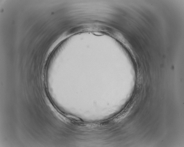 X0000062900803200602101805