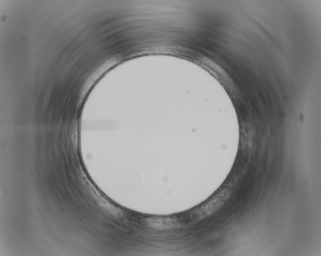 X0000062900804200602101805