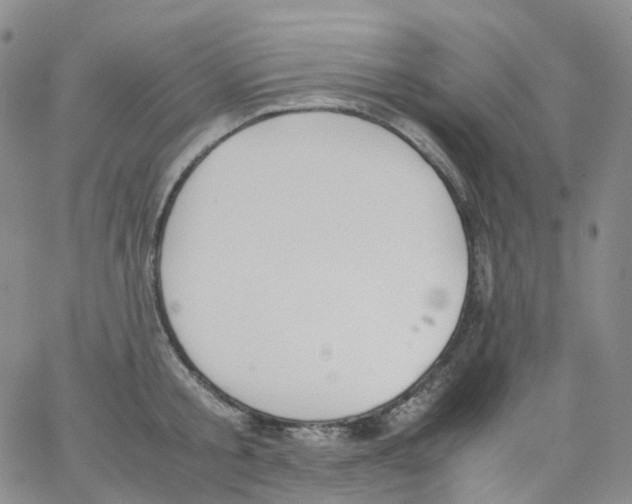 X0000062900805200602101805