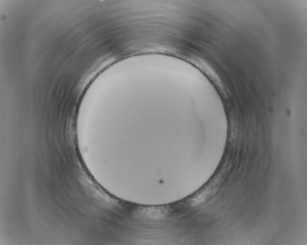 X0000062900806200602101805